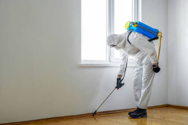 Best Wasp Removal Services  in Slayton, MN